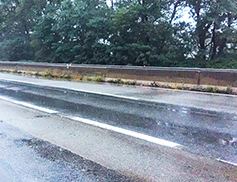 corta superstrada piante