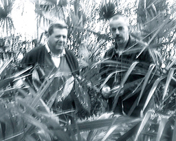 corta vinicio gnemmi