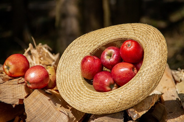Tutto sulle mele, torna domenica la mostra pomologica 