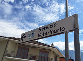 servizio veterinario