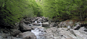 torrente parco val grande
