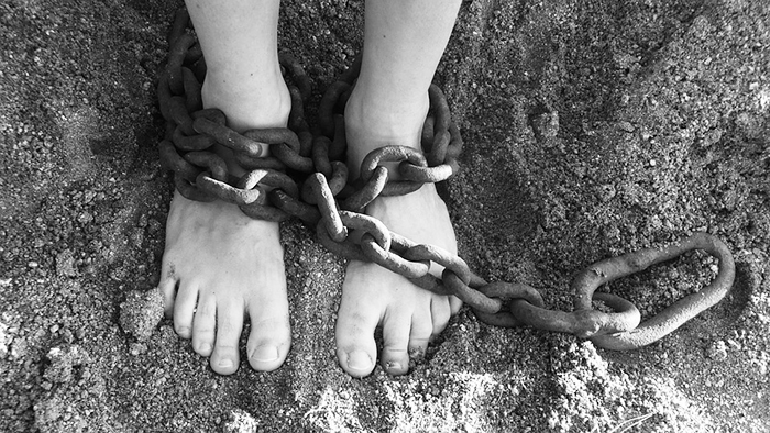 Basta tortura! Oggi il mondo si mobilità contro una delle pratiche più crudeli