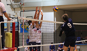 volley domo bistrot